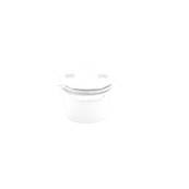 Davant Screwed Access Plug White 32mm Poly Pfit EP32W