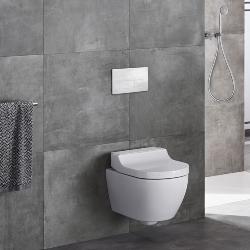 Geberit Delta50 Dual Flush Plate White Alpine 115.105.11.5