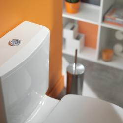 Wirquin Round Dual Flush Operated Chrome 50120569